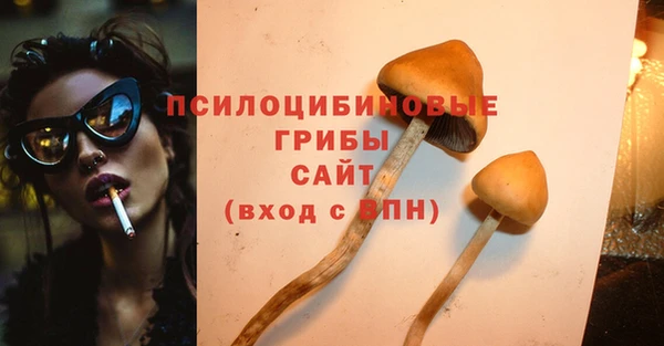 меф Няндома