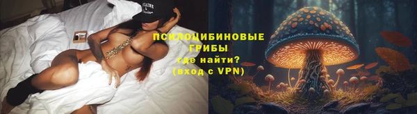 дурь Осташков