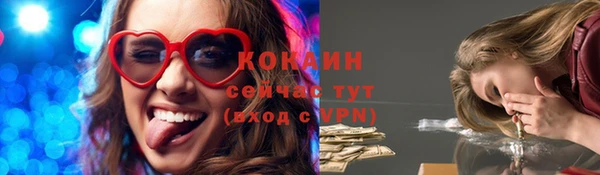 меф Няндома