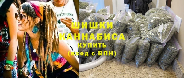 дурь Осташков