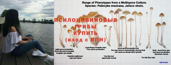 мет Осинники