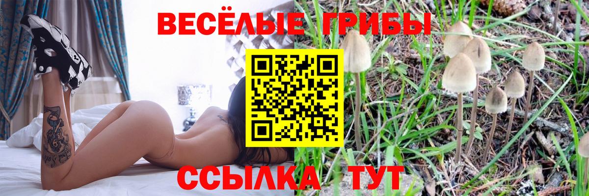 Симферополь  Галлюциногенные грибы Magic Shrooms  Вход с VPN 